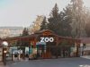 Кишинёвский зоопарк предупредил о мошенничестве: разыгрываются “бесплатные билеты”