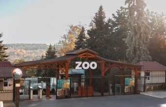Кишинёвский зоопарк предупредил о мошенничестве: разыгрываются „бесплатные билеты”