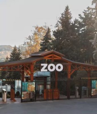 Кишинёвский зоопарк предупредил о мошенничестве: разыгрываются „бесплатные билеты”