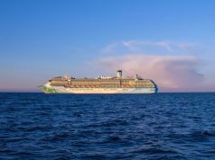 В США состоится круиз для собак и их владельцев