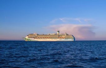 В США состоится круиз для собак и их владельцев