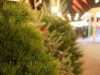 В этом году новогодние ели в Молдове будут стоить от 750 до 10 тысяч леев