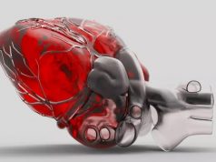 Первое искусственное человеческое сердце появится в 2025 году, это поможет смягчить глобальный дефицит донорских органов, а впоследствии приведет к продлению человеческой жизни путем замены неисправных органов на изготовленные на заказ, говорится в «шокирующих прогнозах» Saxo Bank.