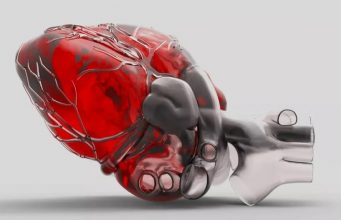 Первое искусственное человеческое сердце появится в 2025 году, это поможет смягчить глобальный дефицит донорских органов, а впоследствии приведет к продлению человеческой жизни путем замены неисправных органов на изготовленные на заказ, говорится в «шокирующих прогнозах» Saxo Bank.