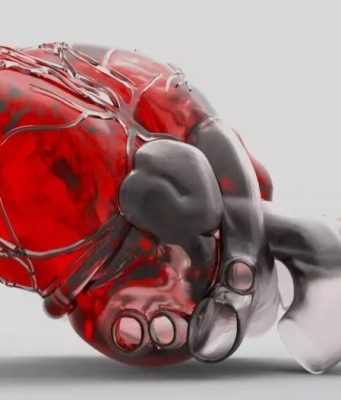 Первое искусственное человеческое сердце появится в 2025 году, это поможет смягчить глобальный дефицит донорских органов, а впоследствии приведет к продлению человеческой жизни путем замены неисправных органов на изготовленные на заказ, говорится в «шокирующих прогнозах» Saxo Bank.