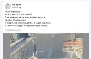 Неприятный инцидент с собакой президента Молдовы