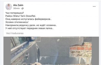 Неприятный инцидент с собакой президента Молдовы