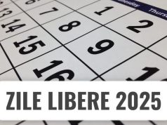 В 2025 году гражданам Республики Молдова будет предоставлено 113 свободных дней, а 252 дня будут рабочими.