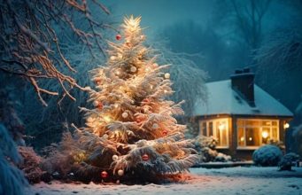 Рождественское чудо: в Молдове женщина родила малыша не доехав до больницы