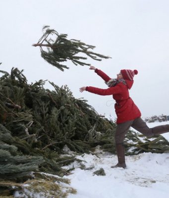 Мэрия Кишинева сообщает, что все использованные во время зимних праздников елки будут отправлены на переработку.