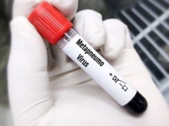 В Румынии выявлен первый случай заболевания метапневмовирусом человека