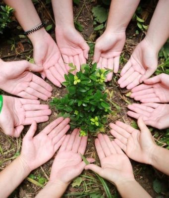 Национальный совет молодежи Молдовы проводит фотоконкурс «Молодежь за планету», посвященный защите окружающей среды.