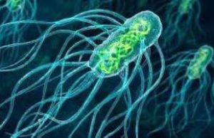 В Молдове зарегистрирован случай брюшного тифа у человека, прибывшего из Нигерии