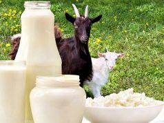 Финансовая поддержка для производителей молока: IV этап подачи заявок