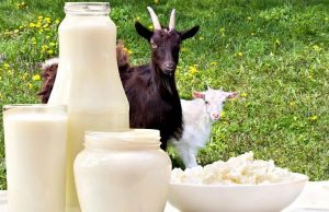 Финансовая поддержка для производителей молока: IV этап подачи заявок