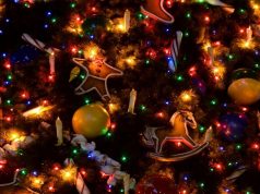 7 января в OrheiLand выступят звезды молдавской эстрады