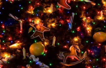 7 января в OrheiLand выступят звезды молдавской эстрады