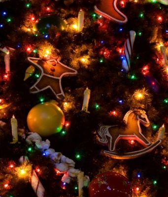 7 января в OrheiLand выступят звезды молдавской эстрады