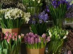 Кишинёве пройдут ярмарки весенних цветов и сувениров: по каким адресам (https://t.me/Primaria_Chisinau/39714)