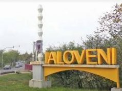 В Яловенском районе Молдовы – вспышка африканской чумы свиней