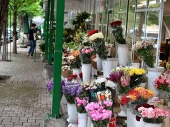 Налоговая служба Молдовы проводит контрольные проверки продажи цветов по случаю Дня влюбленных