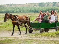 Число людей, размещенных в туристических структурах Республики Молдова, в прошлом году увеличилось на 21,1% по сравнению с 2023 годом.