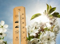 В Молдове ожидается потепление до +10 градусов