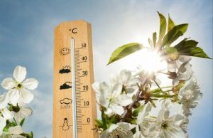 В Молдове ожидается потепление до +10 градусов