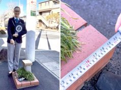 Самый маленький парк в мире попал в Книгу рекордов Гиннесса