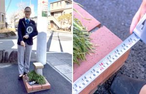 Самый маленький парк в мире попал в Книгу рекордов Гиннесса