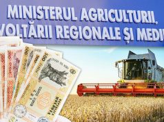 Фермеры Молдовы получили финансовую поддержку: новая программа с грантами