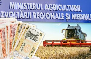 Фермеры Молдовы получили финансовую поддержку: новая программа с грантами