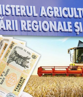 Фермеры Молдовы получили финансовую поддержку: новая программа с грантами