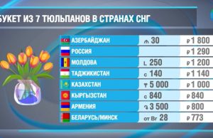 Тюльпаны на 8 Марта пользуются повышенным спросом во всех странах СНГ. Узнали, сколько стоят эти цветы на пространстве Содружества. За основу был взят букет из 7 цветков.