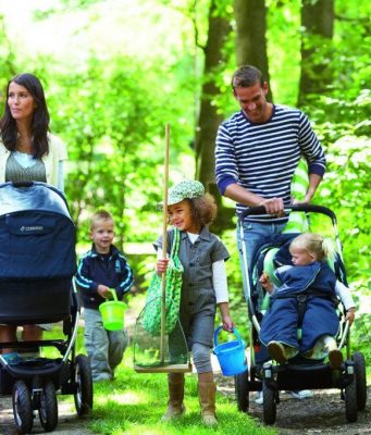В Приднестровье планируют запретить пропаганду бездетности и ввести штрафы