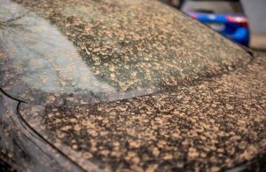 Жителей Молдовы предупреждают о приближении пылевого облака из Сахары