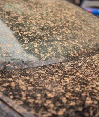 Жителей Молдовы предупреждают о приближении пылевого облака из Сахары