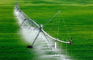 Более 50 км ирригационных систем восстановят в Штефан-Водском районе