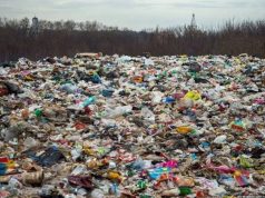 Несанкционированная свалка между Порумбенами и Крикова угрожает экологии и здоровью жителей