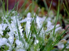 На Молдову надвигаются заморозки