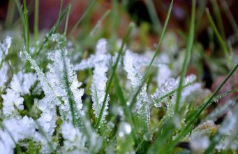 На Молдову надвигаются заморозки