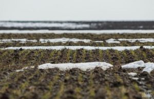 Молдавские фермеры страдают от сильной засухи, угрожающей урожаю