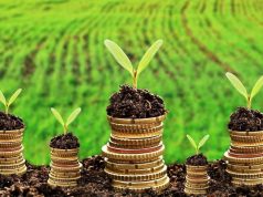 Молдова запускает прием заявок на субсидии для улучшения состояния земель