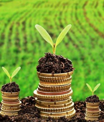 Молдова запускает прием заявок на субсидии для улучшения состояния земель