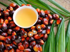 Импорт пальмового масла в Молдову растет: итоги 2022–2025 годов