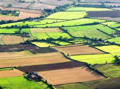 В Молдове упростили продажу небольших сельхозучастков и ввели новые категории земель