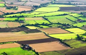 В Молдове упростили продажу небольших сельхозучастков и ввели новые категории земель