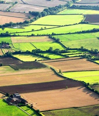 В Молдове упростили продажу небольших сельхозучастков и ввели новые категории земель