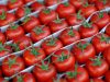 Молдова начала экспорт томатов, но внутренний спрос остается неудовлетворенным