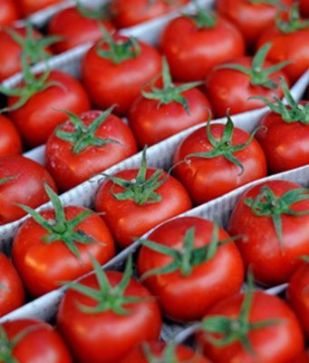 Молдова начала экспорт томатов, но внутренний спрос остается неудовлетворенным